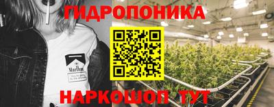 хмурый Можга