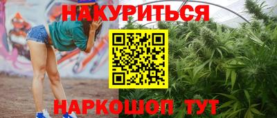 индика Можайск