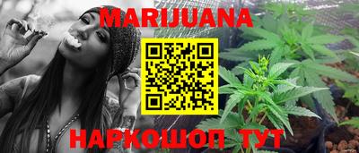 индика Можайск