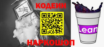 индика Можайск