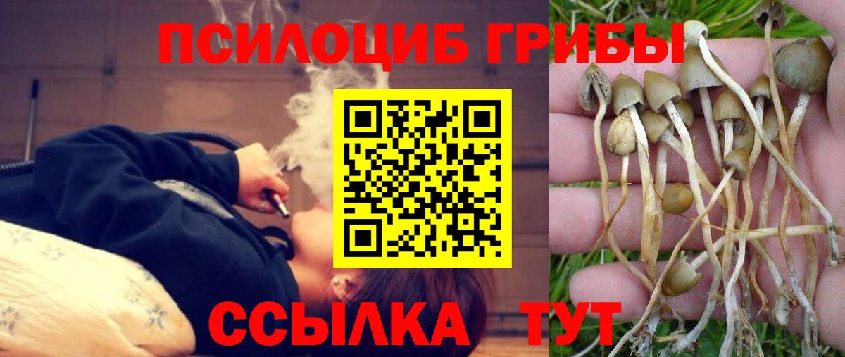 Псилоцибиновые грибы Psilocybine cubensis  Вход с VPN  Топки 