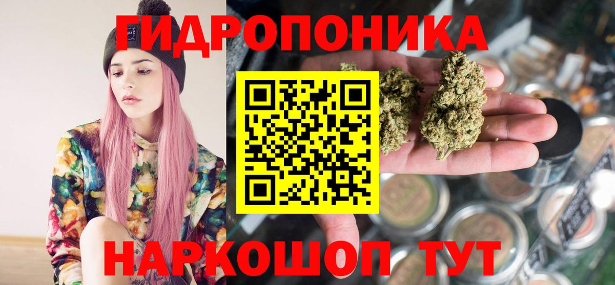 Каннабис семена  Вход с VPN  МАРИХУАНА VHQ  Топки  Бошки марихуана индика 